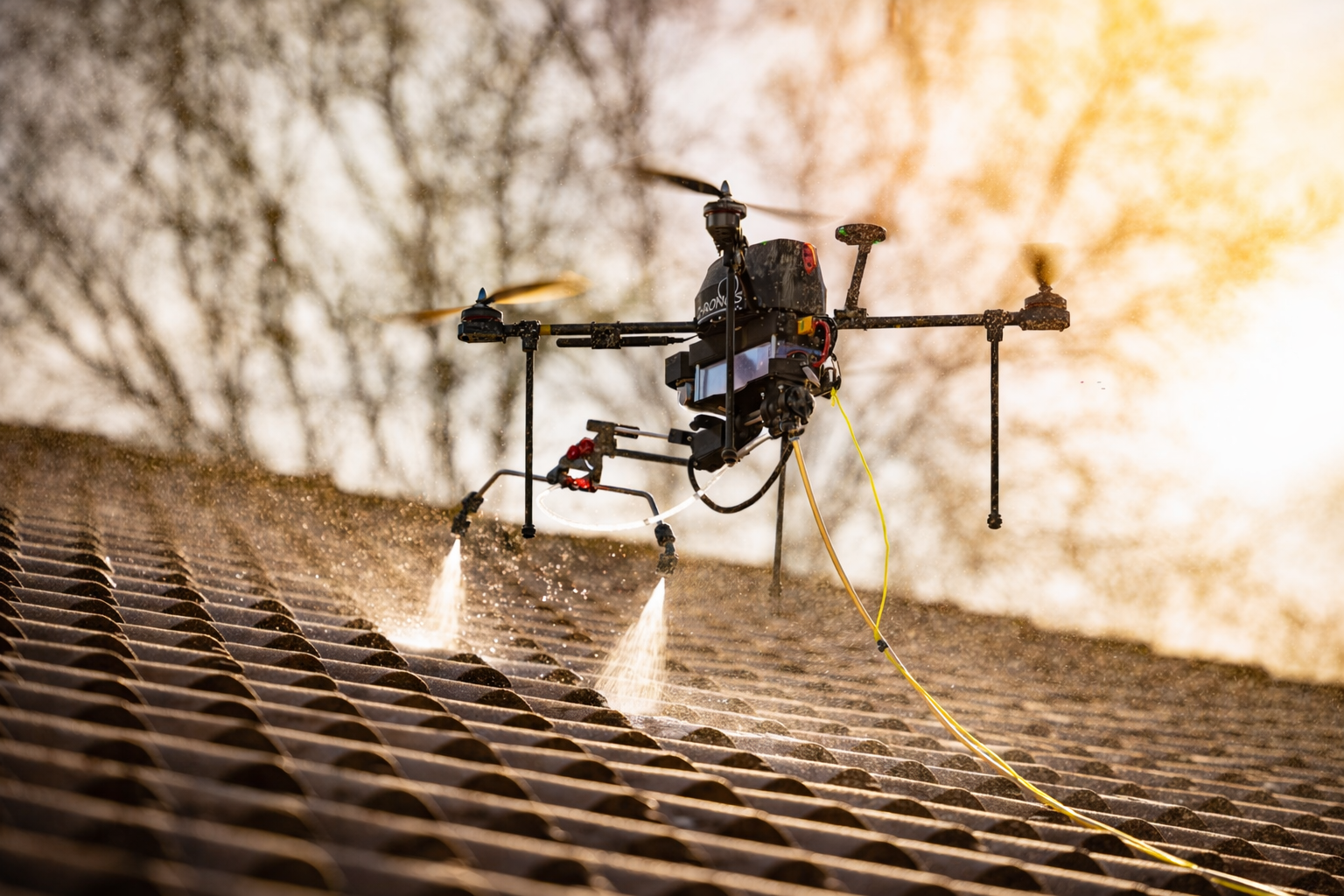 chatgpt image jan 4, 2026, 12 19 04 pm